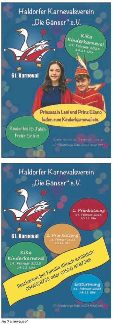 Die Gänser