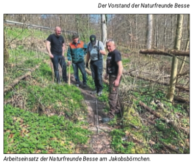 Jakobsbörnchen
