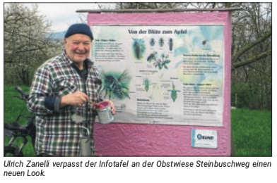 Obstwiese
